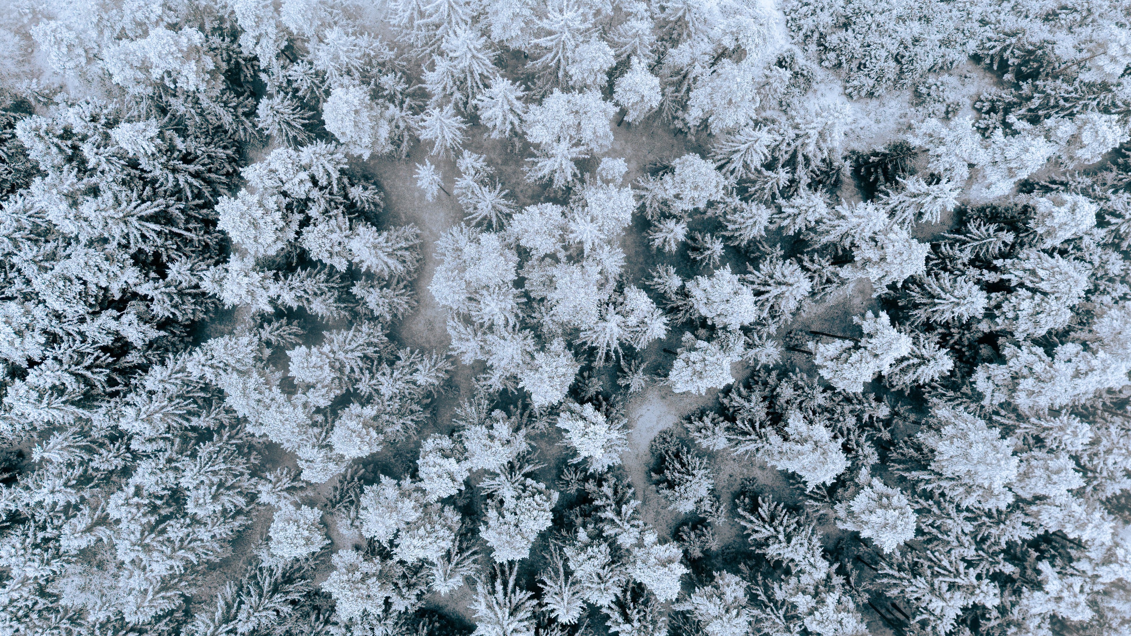 Beyond: The Frozen Silence
