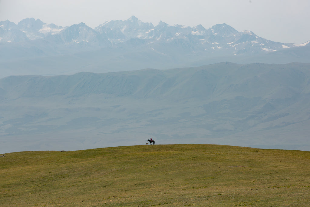 The Lone Sentinel