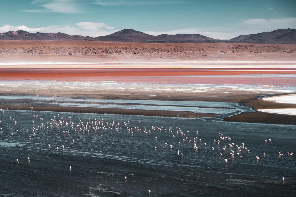 Canvas of the High Desert