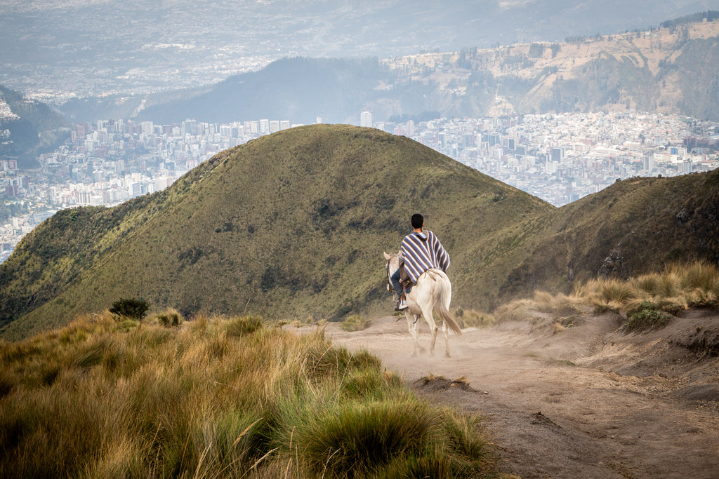 In the Shadow of Pichincha